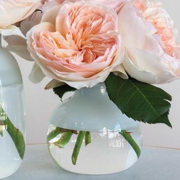 Set of 2 Glass Bud Vases - Picture 2 of 5